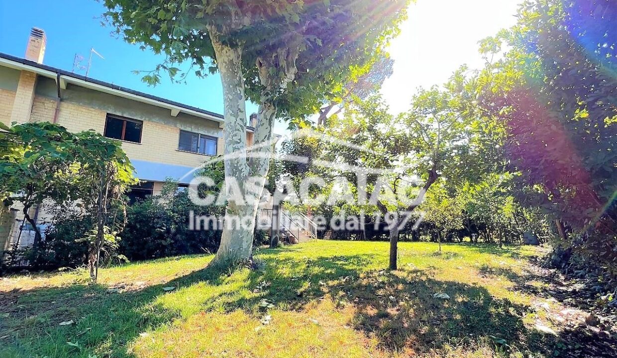 villa amipsia casalpalocco 16