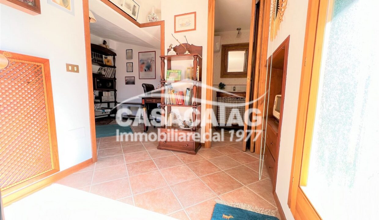 15 (Copia)