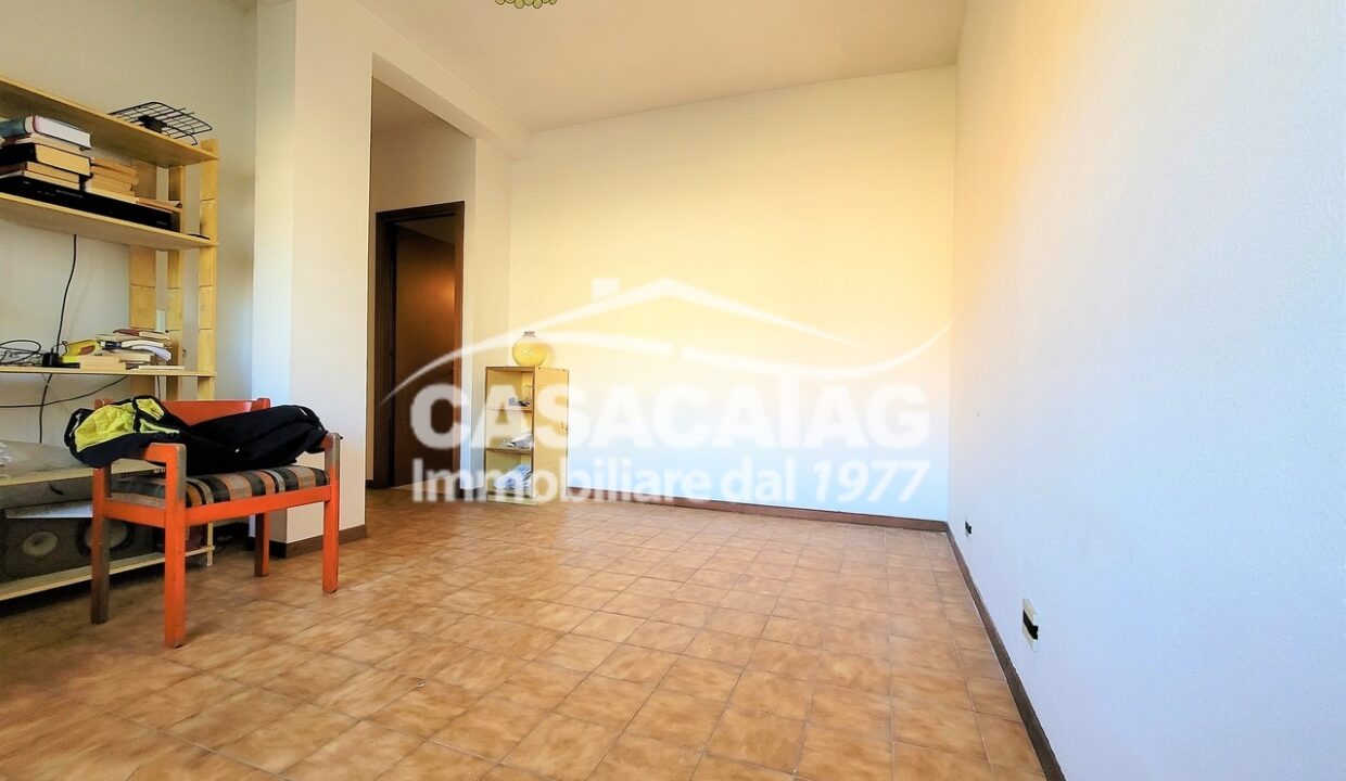 15_20230214_151832 (Copia)