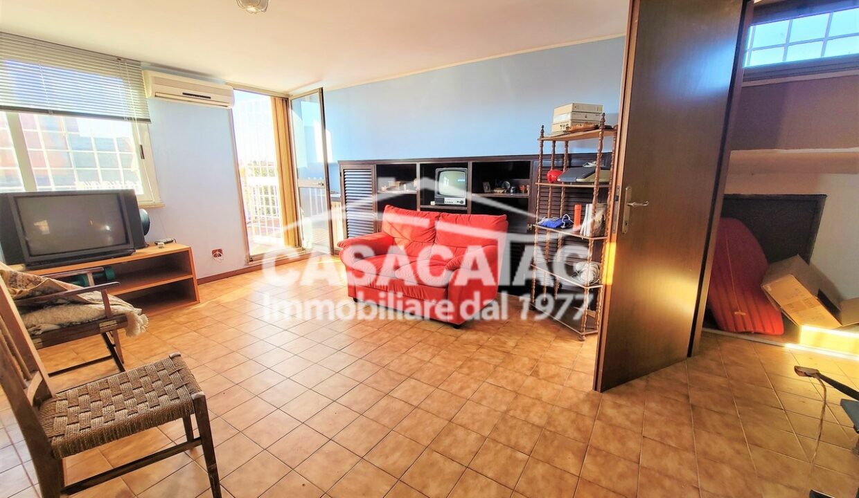 16_20230214_152136 (Copia)