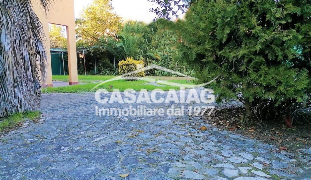 3_IMG-20230214-WA0017 (Copia)