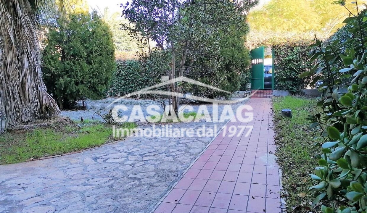 4_IMG-20230214-WA0018 (Copia)