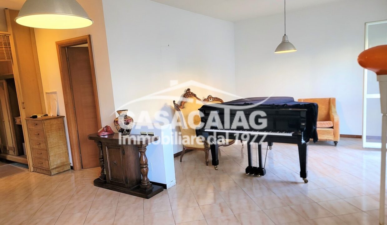 8_20230214_150949 (Copia)